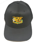 PB Eagle & Snake Crest Premium Embroidered Hat – Black & Gold Edition