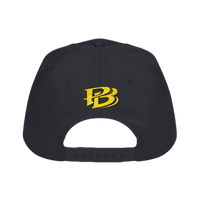 PureBlood™ Eagle & Snake Crest Premium Embroidered Hat | PureBlood Collection