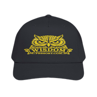 Wisdom Owl | Premium Embroidered Hat – The PB Series