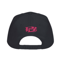 She Did It™ Premium Embroidered Graduation Hat | PB Short Collection